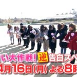 お見合い大作戦逆告白SPの結果やイケメン&美人の成立カップルは?【2018奈良県河合町】